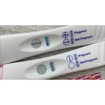  Pregnency Test